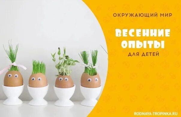 Весенние эксперименты. Весенние опыты. Опыт и эксперименты весенние цветы автор. Весенние опыты. Эксперименты с почвой для детей.