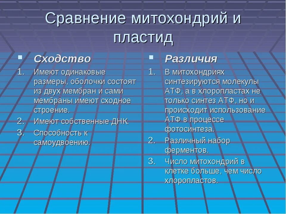 Сходство хлоропластов