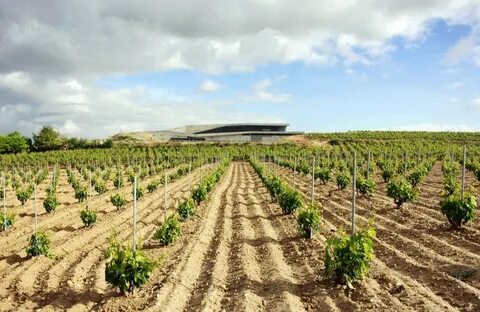 Vinery