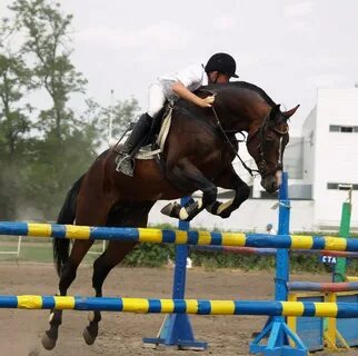 Спорт на искусственных лошадях