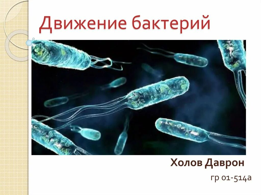 Передвижение бактерий. Движение бактерий. Подвижные бактерии. Движение микроорганизмов это. Способы движения бактерий.