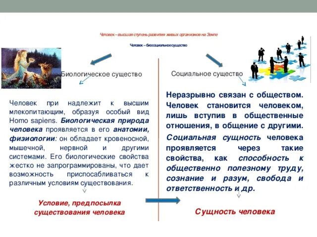 Как стать культурным человеком обществознание кратко. Природное и социальное в человеке Обществознание. Единство природного и социального. Биологические качества человека Обществознание. Человек социальное существо потому что.