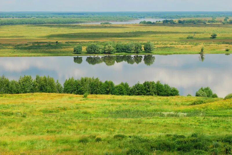 Какая бывает ширь