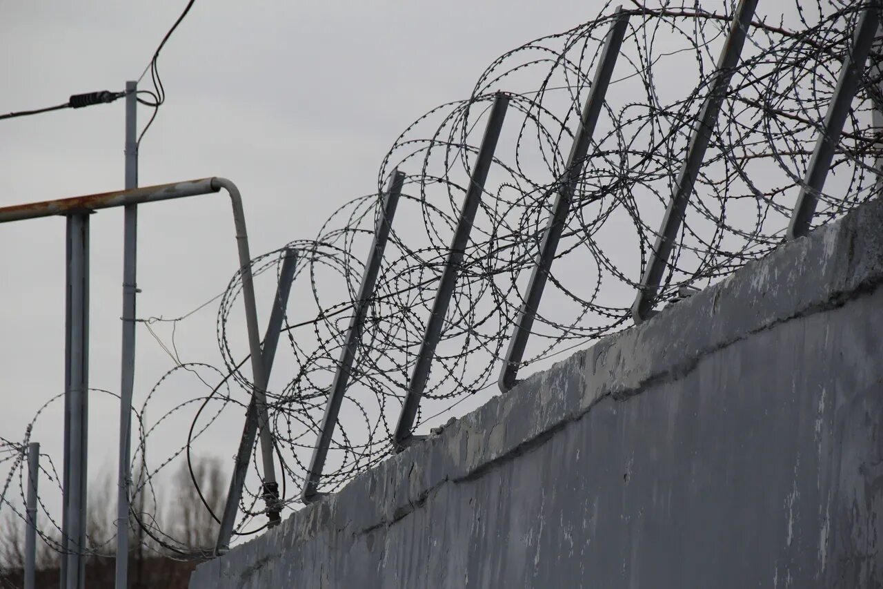 Колония строгого режима. Абакан 33 ик зона. Саратовские строгий режим. Саратовские строгий режим. Саратовские строгий режим.