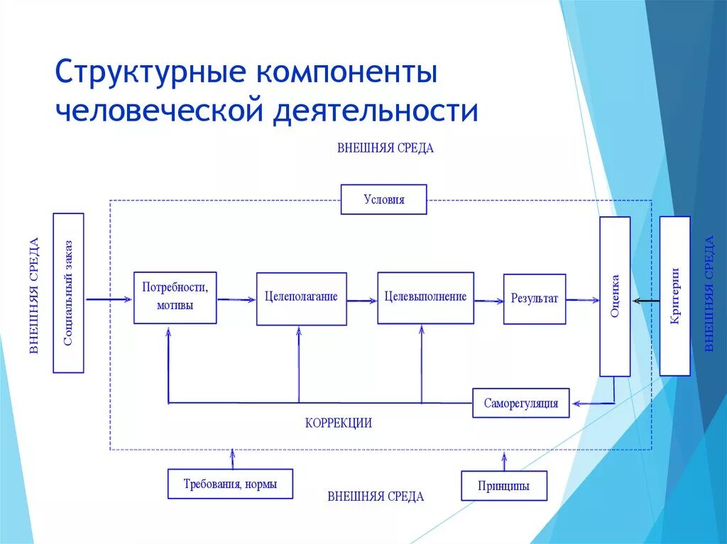 Структурный компонент деятельности. Основные компоненты деятельности схема. Компонент структуры человеческой деятельности. Деятельность структура компоненты деятельности.