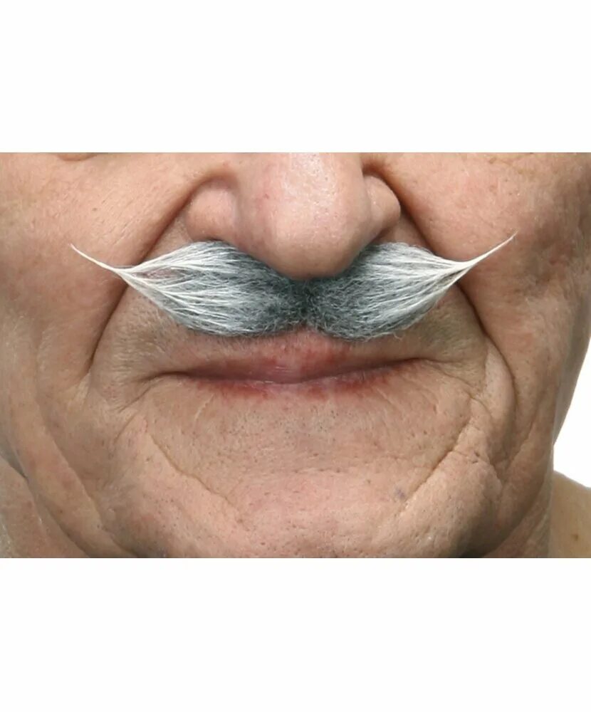 седая борода. свисающие усы. седые усы. сэм эллиотт. седой ус.