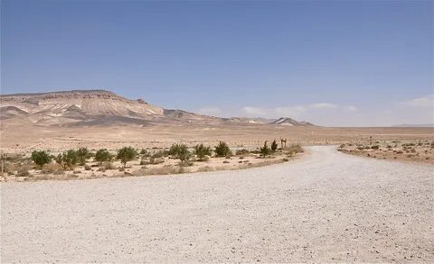 Desert many