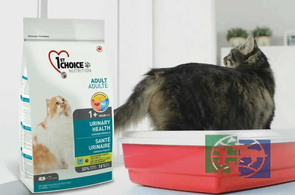 Корм urinary для кошек при мкб. 1st choice urinary. лечебный корм при мкб для кошек. 1st choice миска. корма уринари при мкб у кошек.