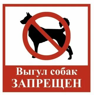 Табличка выгул собак
