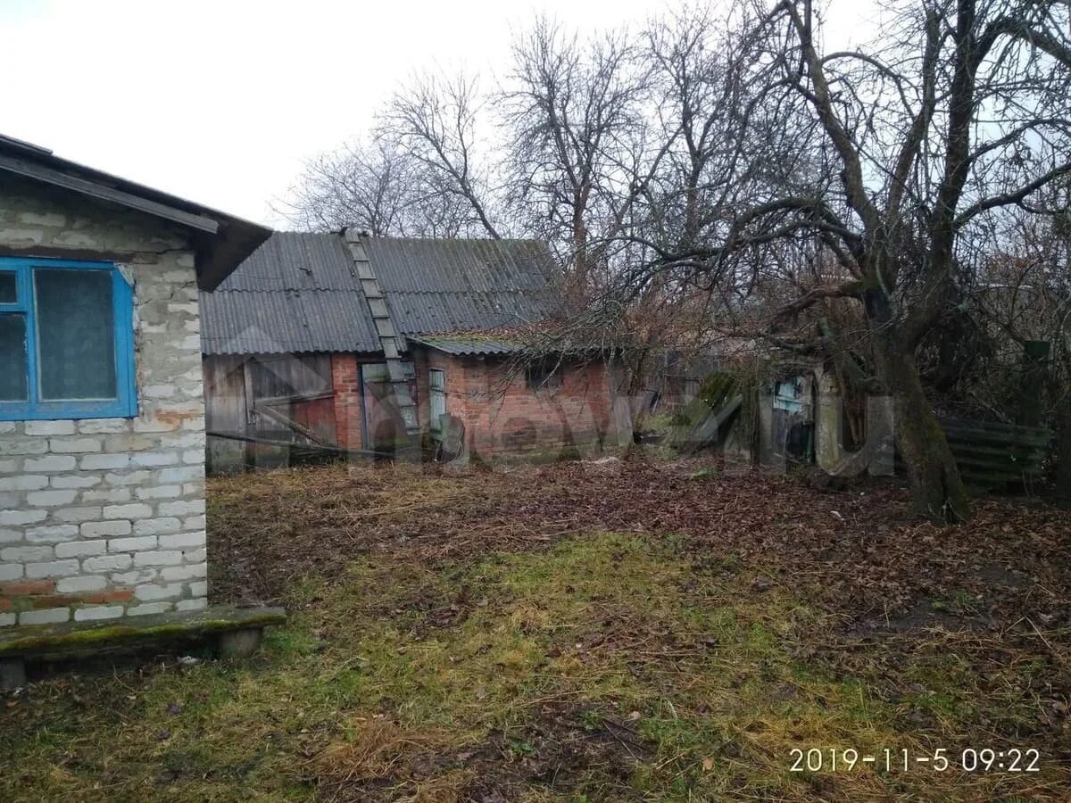 Старый ропск брянская. Погода на неделю в москве на 7 дней. Погода в сытую буду. Село лакомая буда брянская область. Село сытая буда.