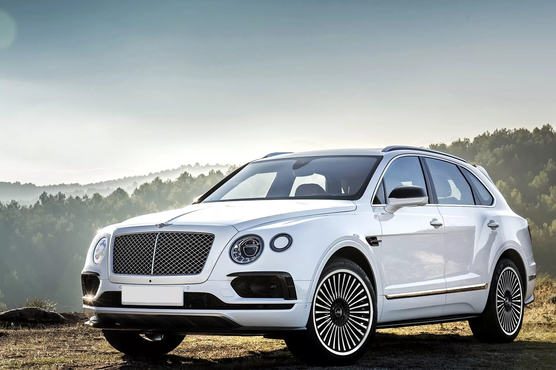 Бентли бентайга 2016. Bentley Bentayga. Bentley Bentayga 2022. Bentley Bentayga 2015. Bentley Bentayga 2016.