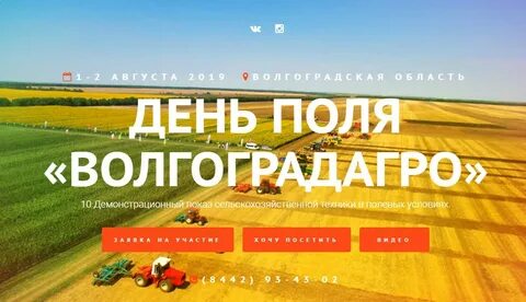 День поля пол