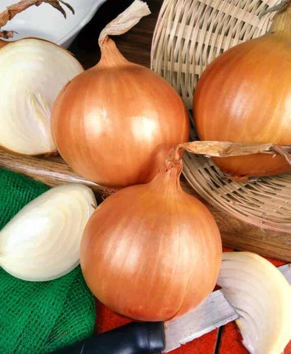 Лук репчатый молодой. Лук хиберна. Лук репчатый в магазине. Лук на прилавке. Лук репчатый в магазине.