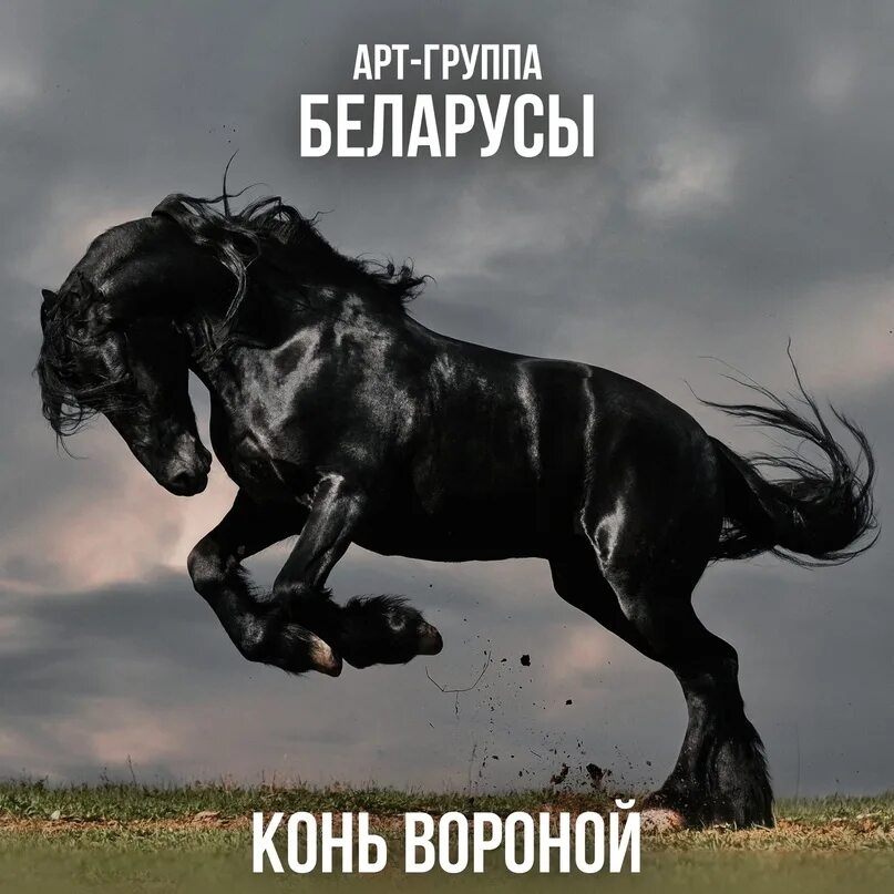 Черный конь песня. Конь мой вороной. Песня вороной. Конь вороной песня. Конь вороной текст.