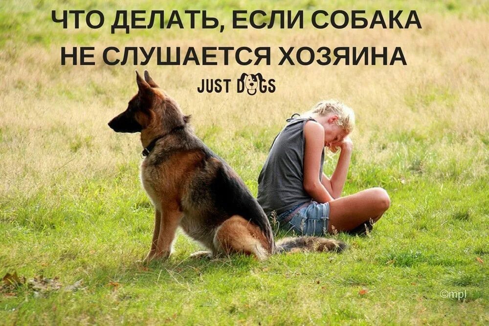 Песня бегала за ним как послушная собака