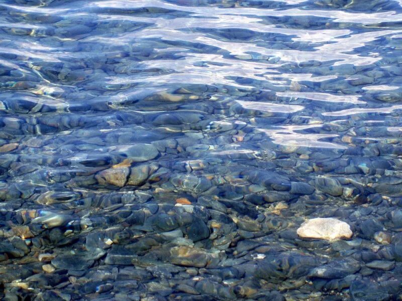 женщина вода. прозрачная вода. человек плывет по воде. озеро с прозрачной водой. голубое прозрачное море.