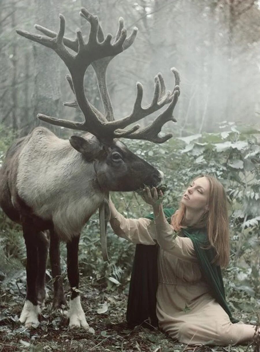 Девочка на олене. Девушка олень. фотосессия с оленем. баба олень. лось женщина.