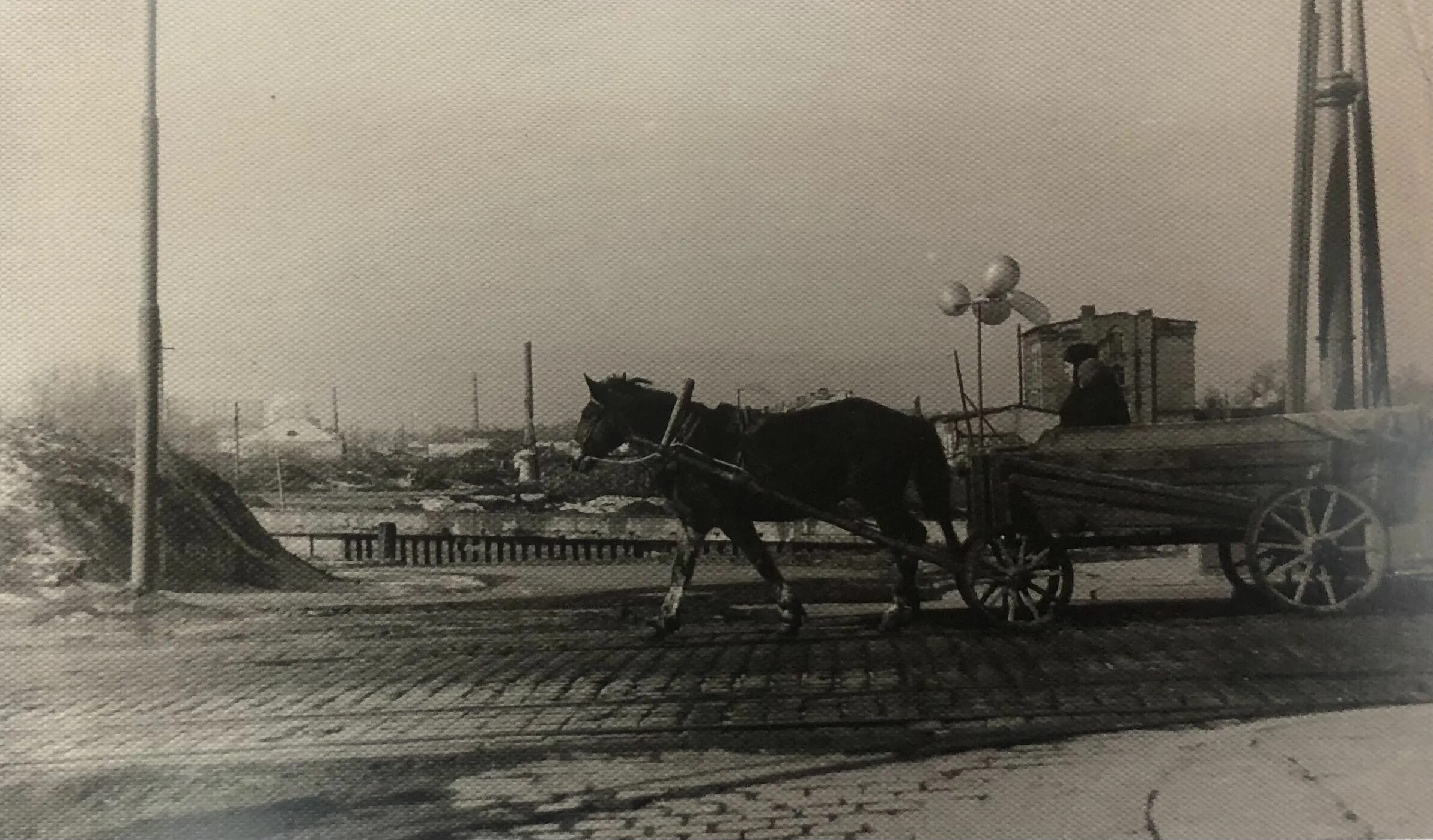 Переселенцы в Калининградскую область 1946. Калининградская область 1946. Калининград переселенцы 1946 год. Первые переселенцы в Калининградскую область. Города переселенцы