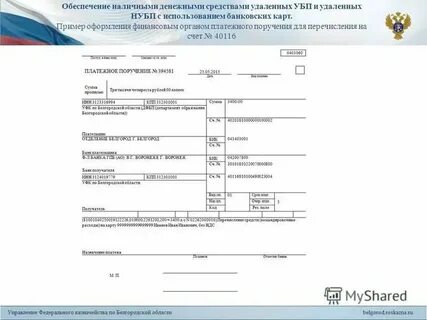 Распоряжение о совершении казначейского платежа возврат