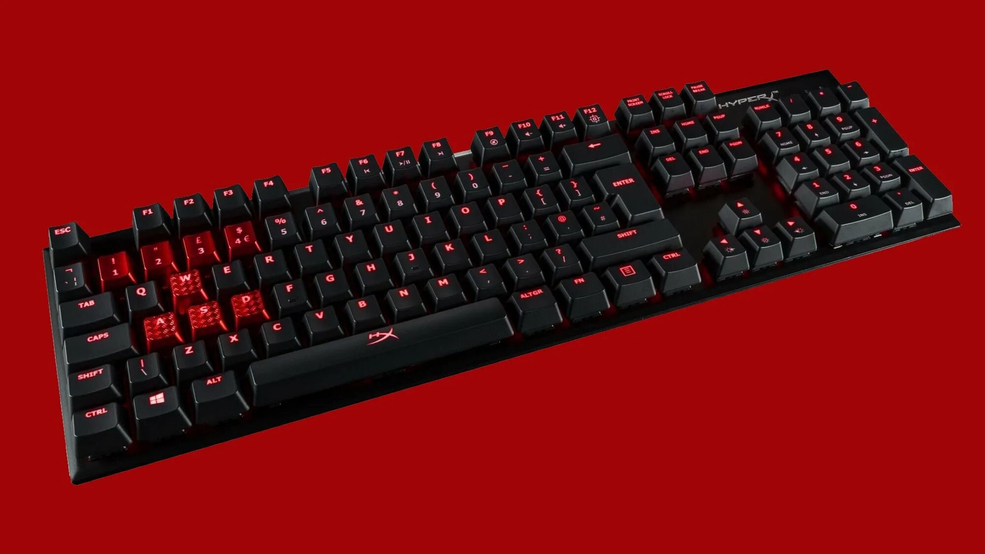Tragisch Vermindering Het hyperx elite rgb Verplaatsbaar Dijk Christus
