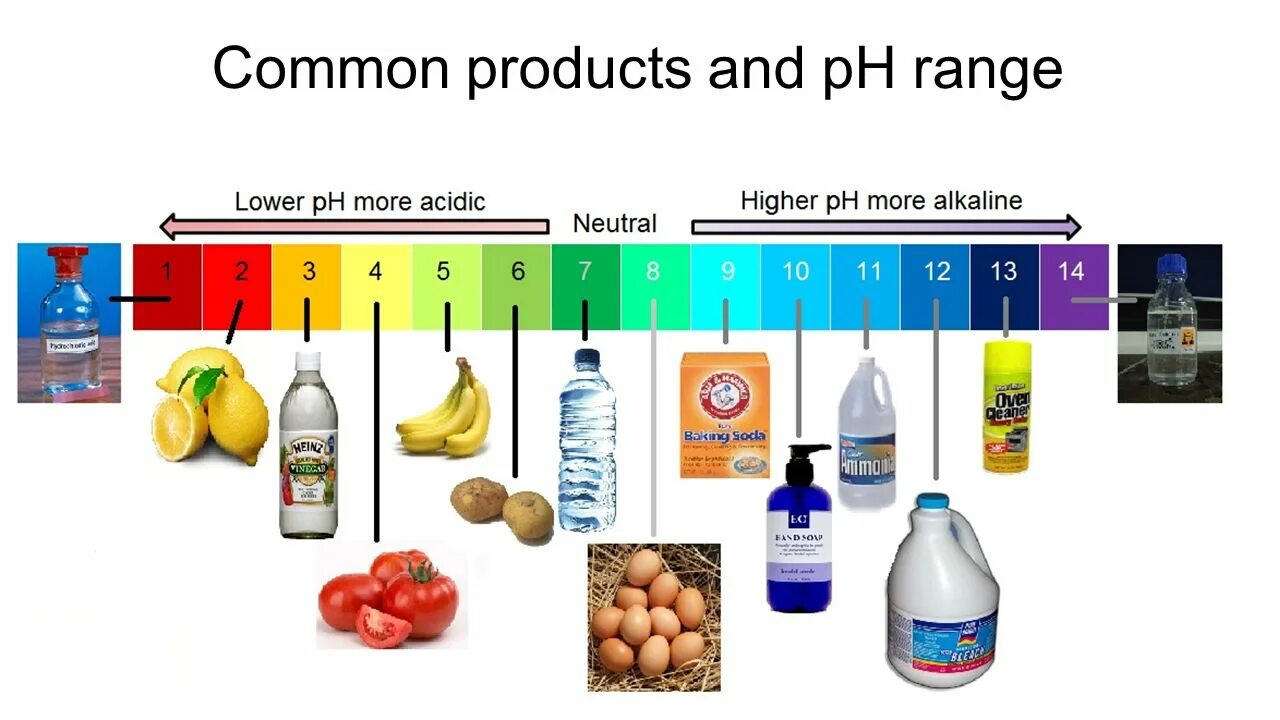 Шкала РН воды. Уровень PH. Шкала PH для воды. Шкала кислотности PH. Кислотность банана