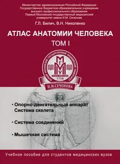 Атлас анатомия человека том 1 билич