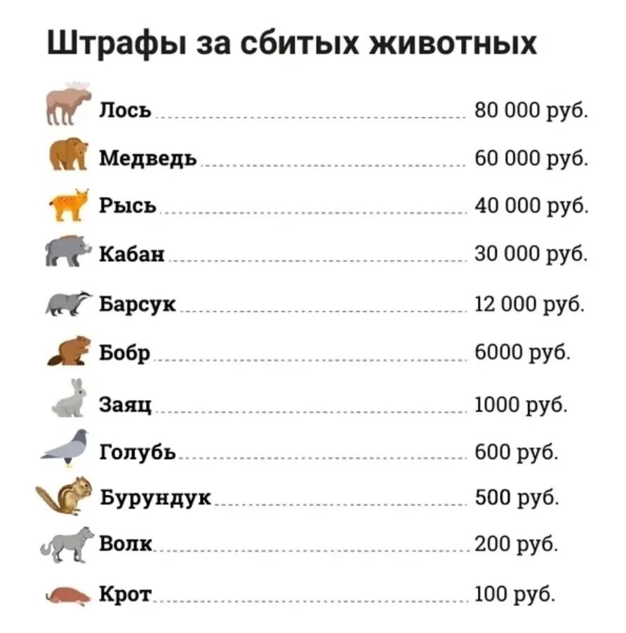 Штрафы за сбитых животных. Штрафы за животных 2022. Штрафы за сбитых животных 2022. Штраф за сбитое животное. Сколько штраф за сбитого