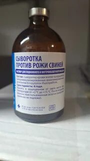 Рожа свиней вакцинация
