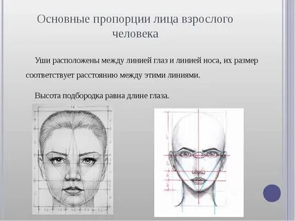 Соотношение лица