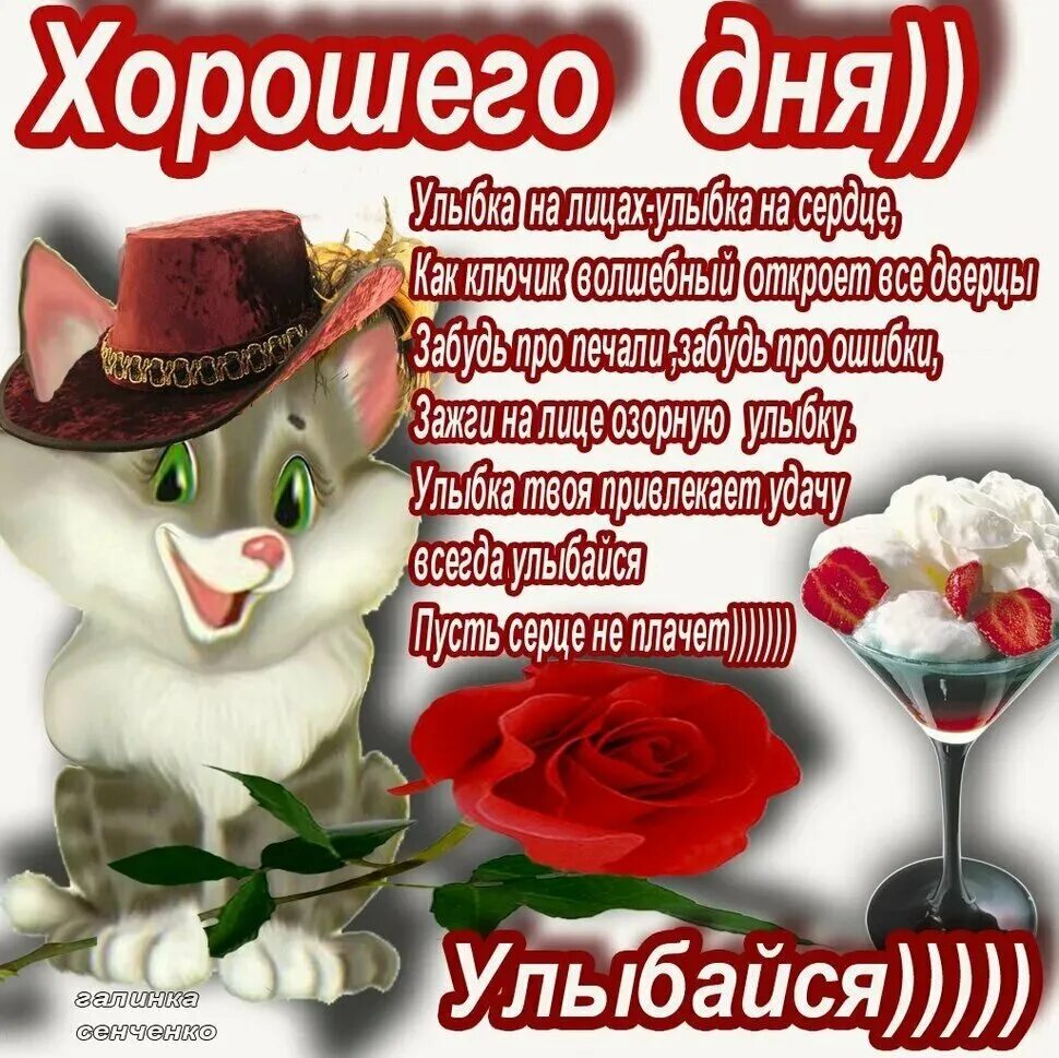 Доброго дня и хорошего настроения хорошему человеку. Пожелания доброго дня. поздравление с добрым днем. поздравления с добрым днем красивые. поздравление с прекрасным днем.