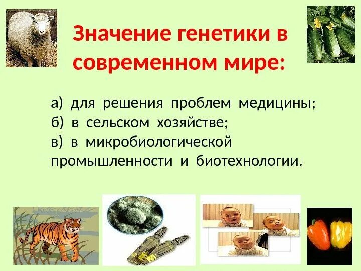 Роль генотипу. Значение генетики кратко. роль генетики в современном мире. роль генетики в биологии. значение генетики в сельском хозяйстве.