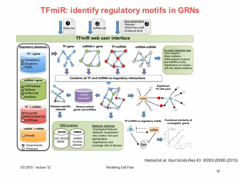 Related network