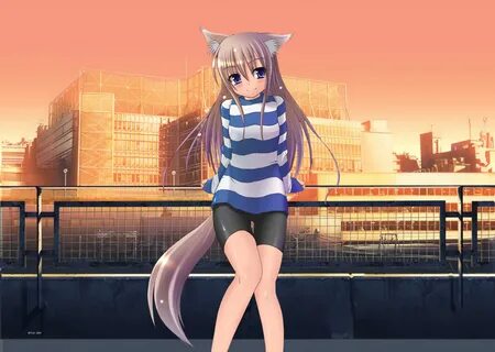 Обои няшки