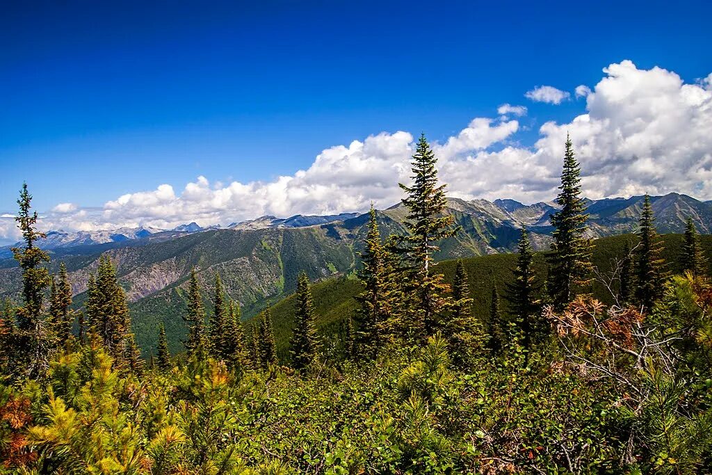 озеро балан-тамур. баргузинский биосферный резерват. заповедник баргузинский среднегорье. баргузинский биосферный заповедник. баргузинский биосферный заповедник.