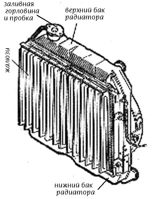 Устройство радиатора охлаждения двигателя ваз. Радиатор система охлаждения двигателя каз-608. Устройство радиатора автомобиля схема. Радиатор в разрезе автомобильный. Из чего состоит радиатор охлаждения автомобиля.
