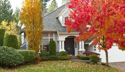 Home fall