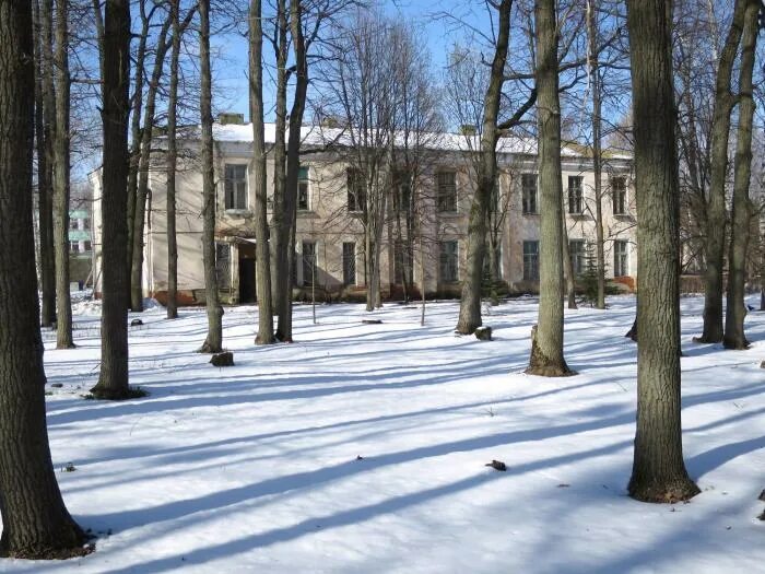 Больница 1 арзамас. Центральная больница арзамас. Центральная городская больница арзамас. Центральная городская больница г. Арзамас больница дубки телефон.