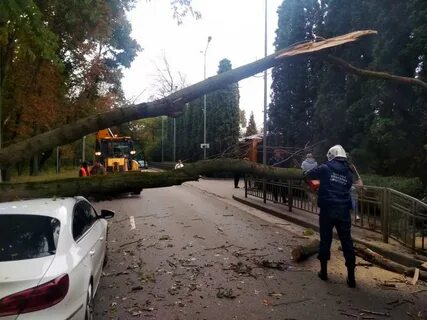 Воронежское чп