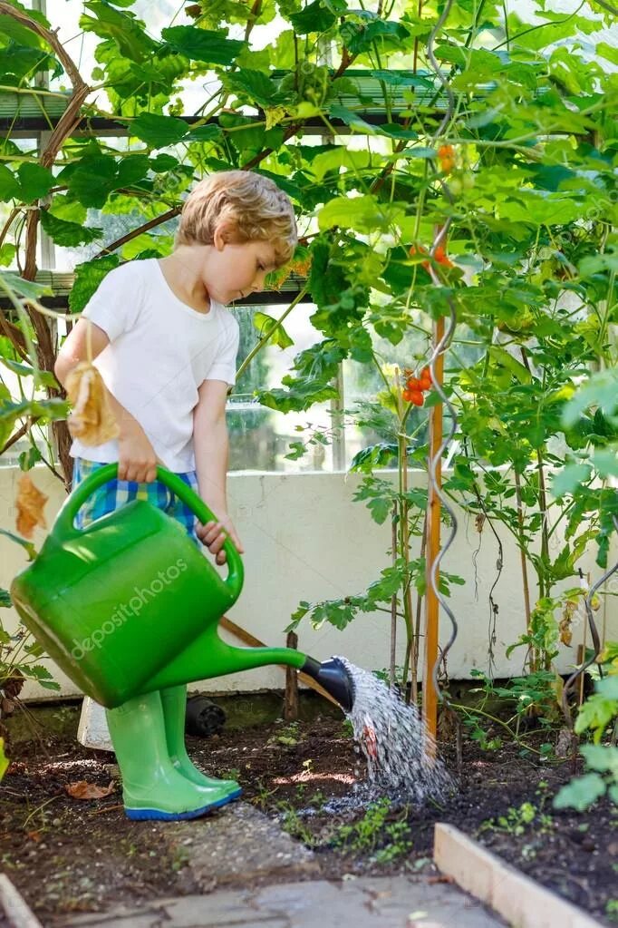 Мальчик в саду. Огород для детей. How to save water. Сад огород лейка. Pond plant adaptations worksheet.