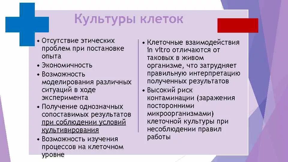 Культура клеток преимущества и недостатки. Преимущества культур клеток. Метод культуры клеток и тканей. Культуры клеток и их характеристика.