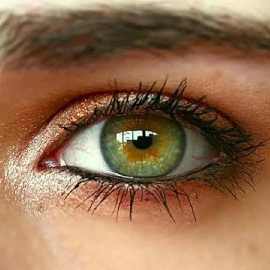 Зелено голубо желтые глаза. Серо-каре-зеленые глаза. Болотный цвет глаз гетерохромия. Цветные линзы гетерохромия. Chuck Hazel цвет глаз.