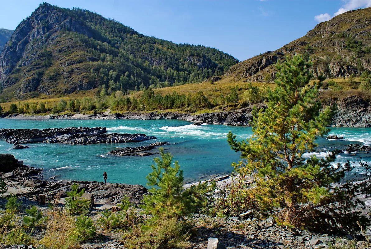 Горно алтайск море. Горный Алтай Катунь. Алтайский край Катунь река горный Алтай. Бирюзовая Катунь Алтайский край. Озеро бирюзовая Катунь горный Алтай.