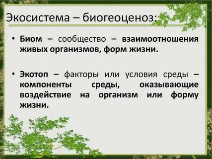Как определить вид экосистемы