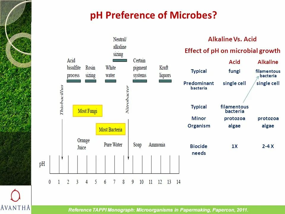 Alkaline перевод. PH 9.1 организмы. PH on on. Dependence Protein on the PH of the Medium. PH down Microbe Life.