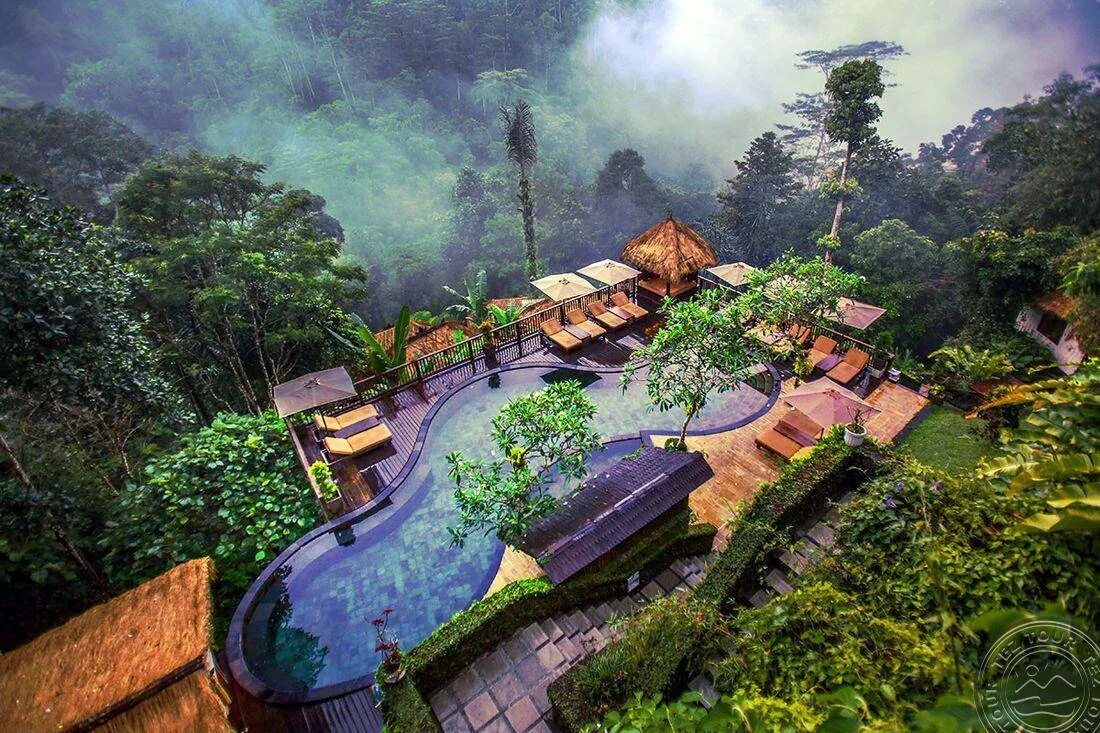 Убуд отели. Бали убуд отели в джунглях. Частные виллы на бали с видом на джунгли убуд. Вилла на бали ubud. Убуд отели.