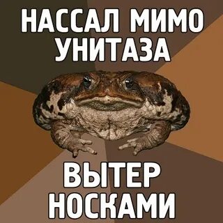 Песня требуй что тебе надо про лягушку