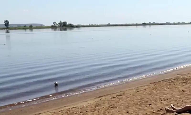 Уровень воды в каме на сегодня сарапул. Кама. Пляж г Чистополь Кама. Кама береяжка Чистополь.