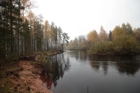 Кабожа новгородская область