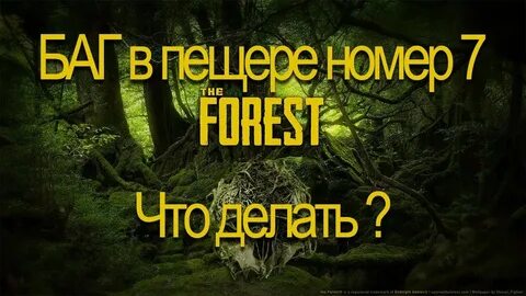 Форест что делать