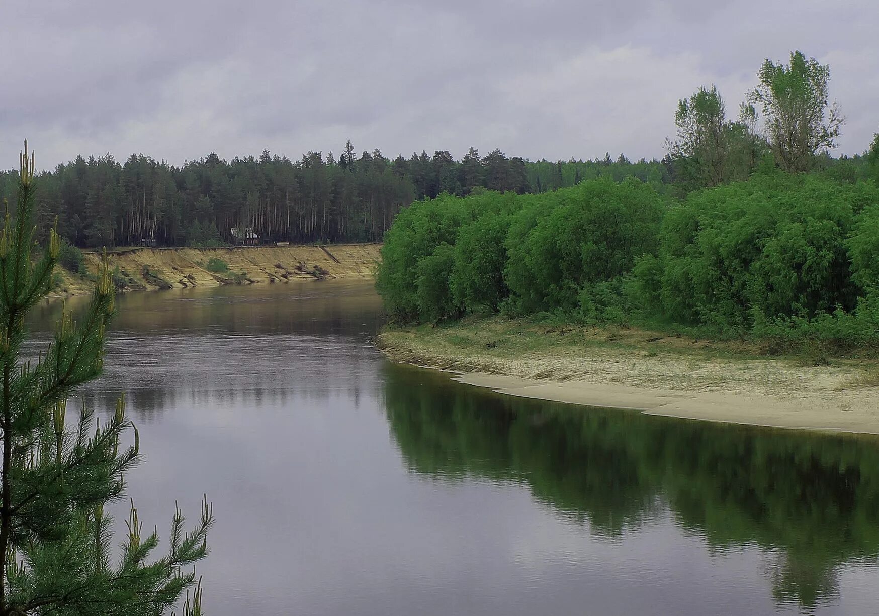 Уровень воды в ветлуге шарья на сегодня. Река Ветлуга Нижегородская область. Красные баки Нижегородская область река Ветлуга. Река Ветлуга Шарья. Исток реки Ветлуга.